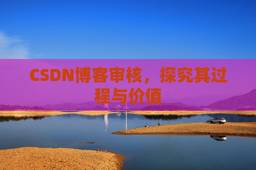 CSDN博客审核，探究其过程与价值